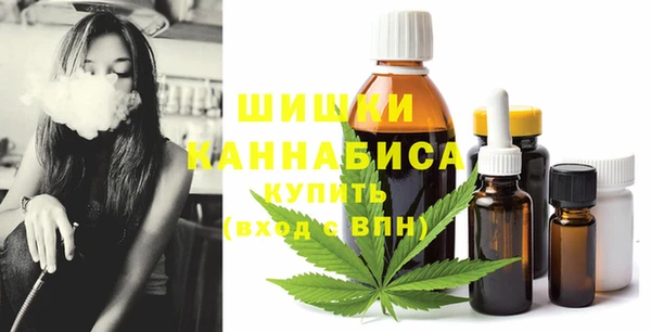 стаф Абинск