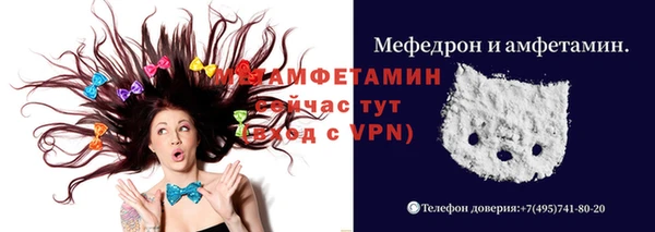 прущие грибы Михайлов