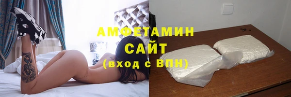 прущие грибы Михайлов