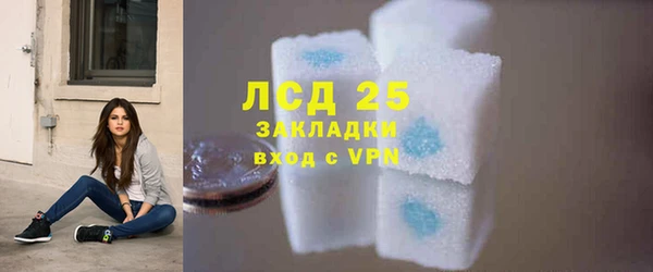 прущие грибы Михайлов