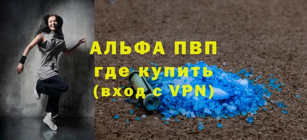 прущие грибы Михайлов