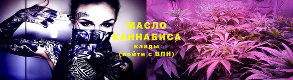 прущие грибы Михайлов