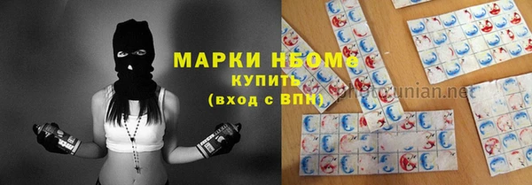прущие грибы Михайлов