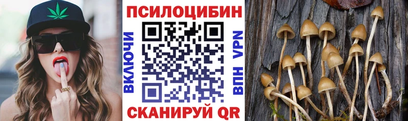Галлюциногенные грибы GOLDEN TEACHER  закладки  Анапа 